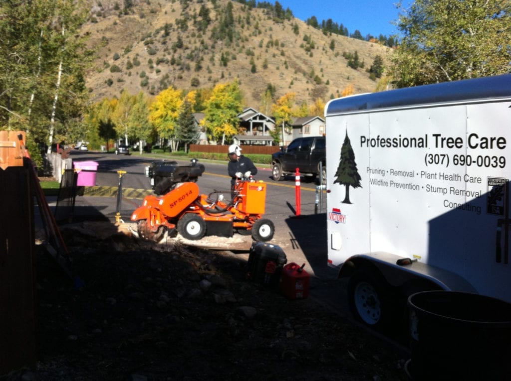 Stump Grinding