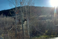 Aspen-Removal1