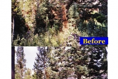 Before.After.Posterx2