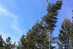 CraneLift