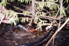 TwineI149
